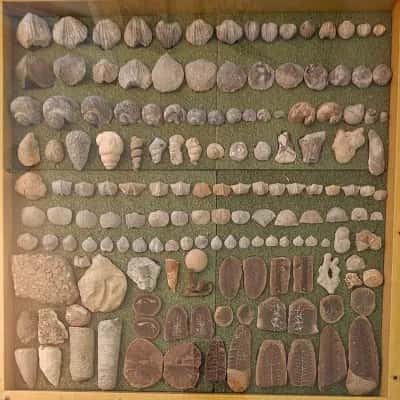 MASSIVE Downey EsTaTe SaLe - COMING SOON ! ATTENTION "ROCKHOUNDS" !
