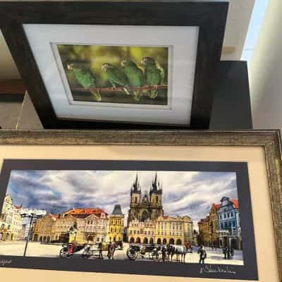 Poshlando Returns to Valrico: Seasons, Collections & Curiosities