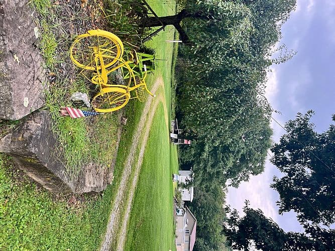 Hugh Estate Sale