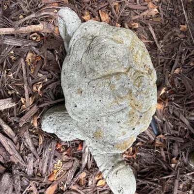 Azalea Drive Living Estate Sale