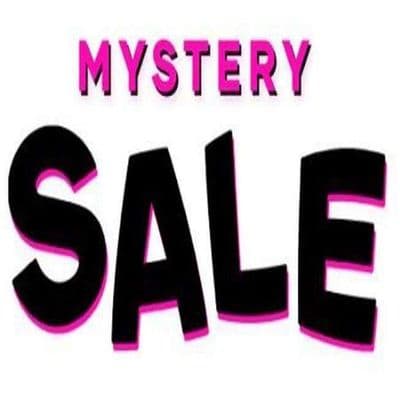 Treasure Me Team in Millville for a Two Day Mystery Estate Sale