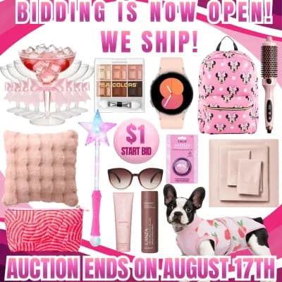 $1 Start Bids: Home Goods, Tons Of Bedding & More! SHIPS!