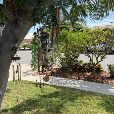 Blow out, antiques, collectibles, coins, safe, electronics, yard art