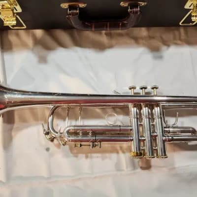 Lawrenceville online estate sale-Militaria, jewelry, vintage cameras and more