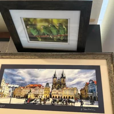 Poshlando Returns to Valrico: Seasons, Collections & Curiosities