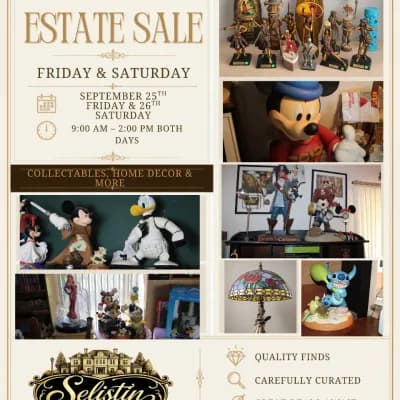 Huge Disney Estate Sale | Savannah GA — photo 1