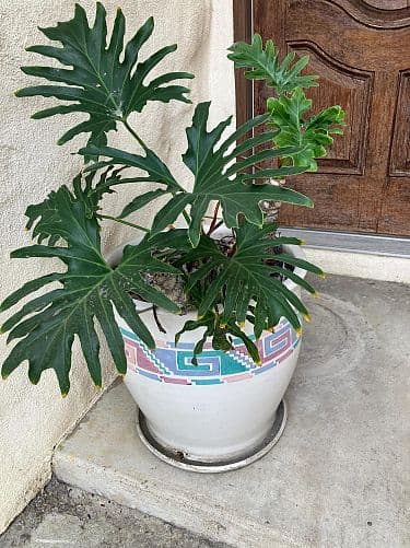Garage Sale, Allied Gardens area Saturday 8/22