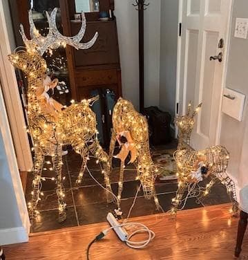 Huge yard sale before a move