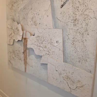 ESTATE SALES OF CENTRAL FLORIDA