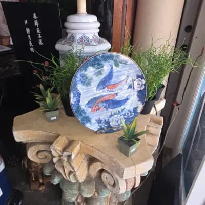 Let it Go Lifestyle in Winter Garden