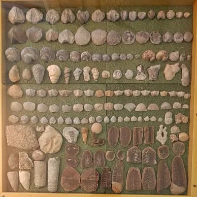MASSIVE Downey EsTaTe SaLe - COMING SOON ! ATTENTION "ROCKHOUNDS" !