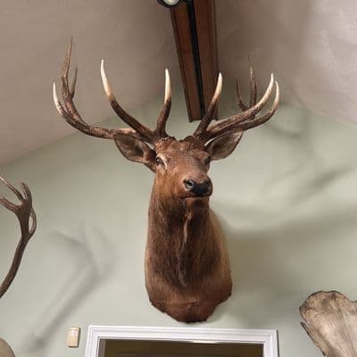 Estate Sale everything must go — photo 1