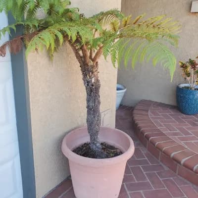 ESTATE SALE FINDS AND TREASURES