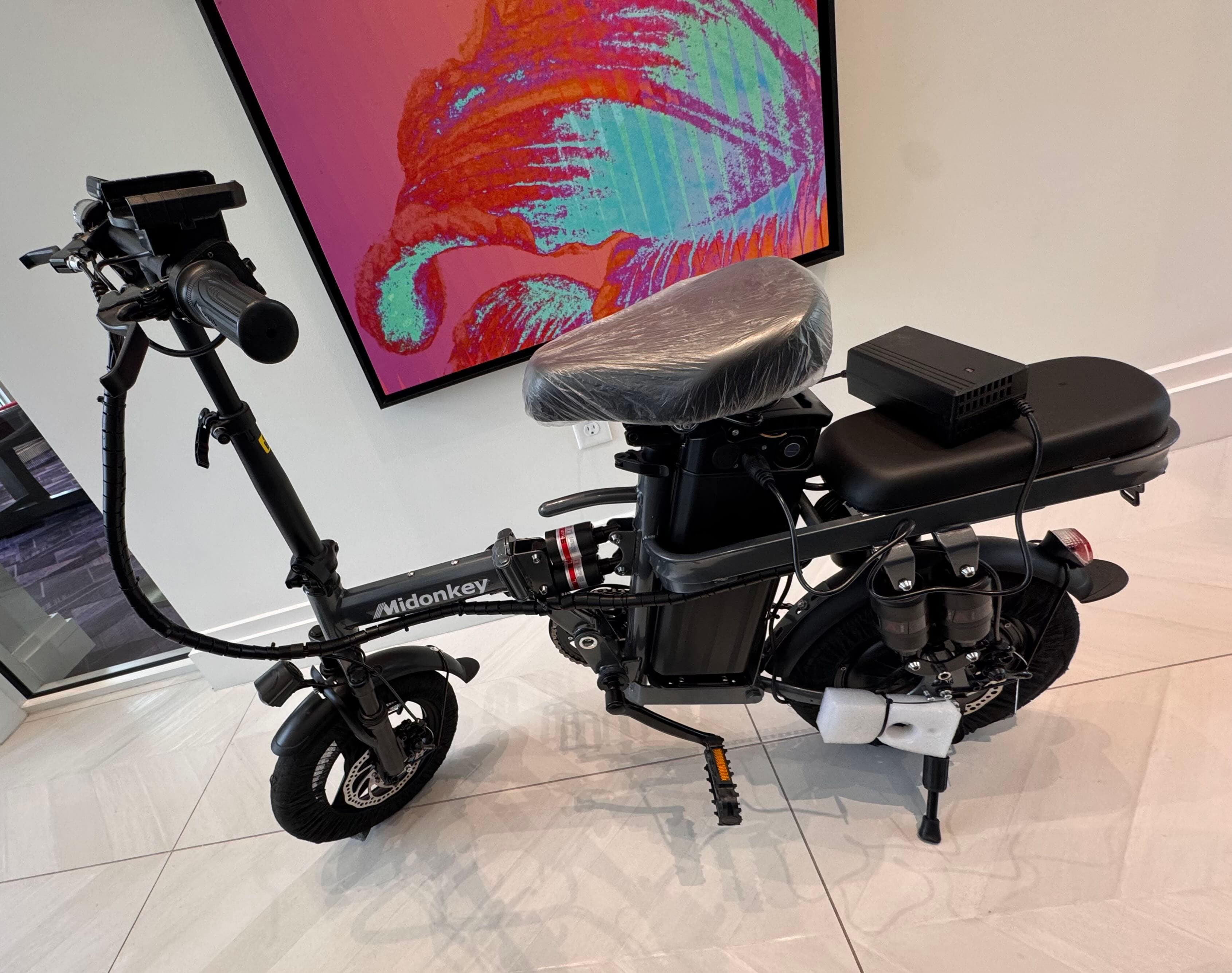 New Electric/ regular bike