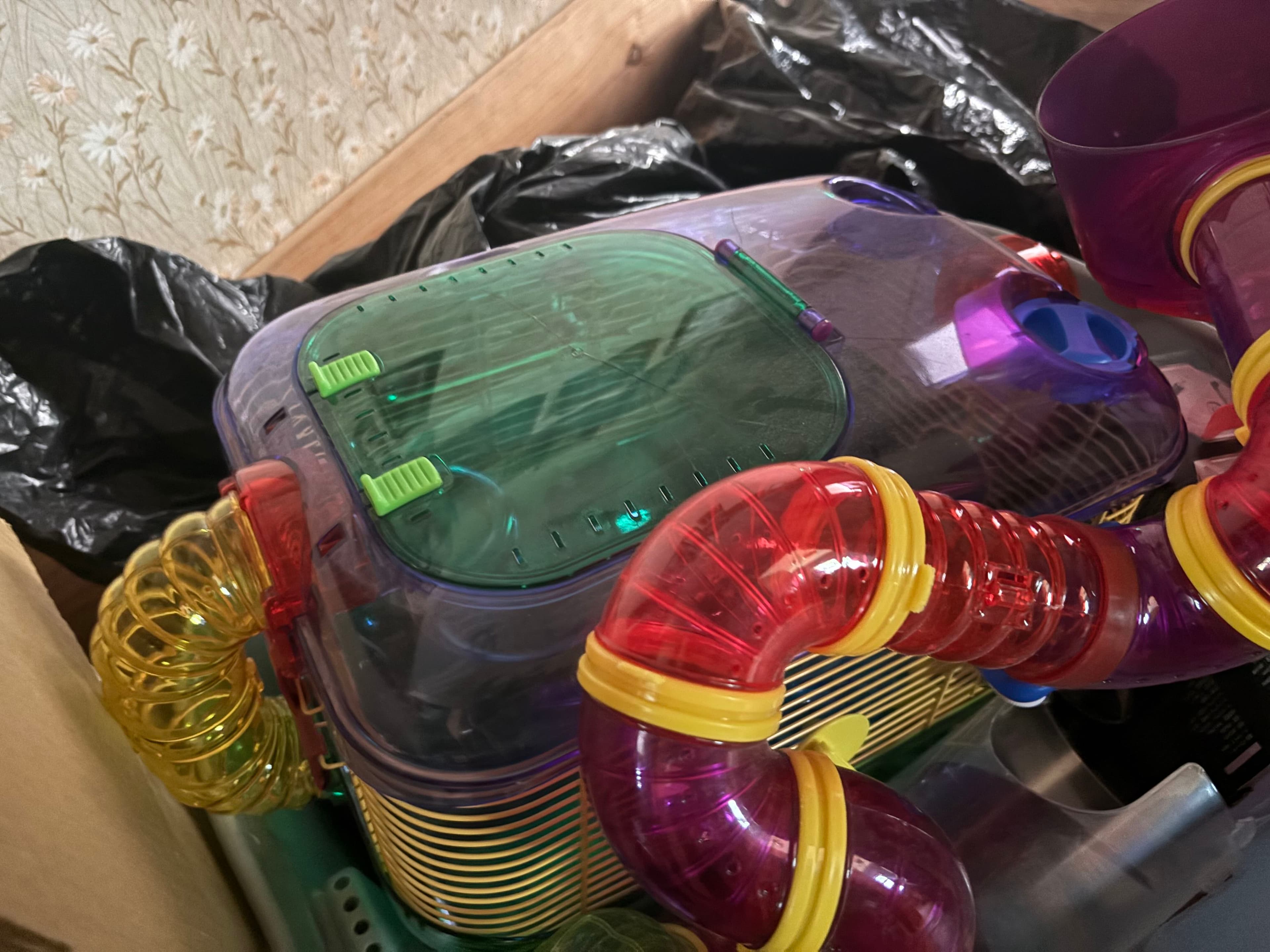toys, books, pet supplies, kitchen, clothing