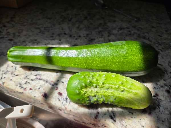 Garden Grown Zuchinni Bread, Garden Grown Pickles, and Lemonade